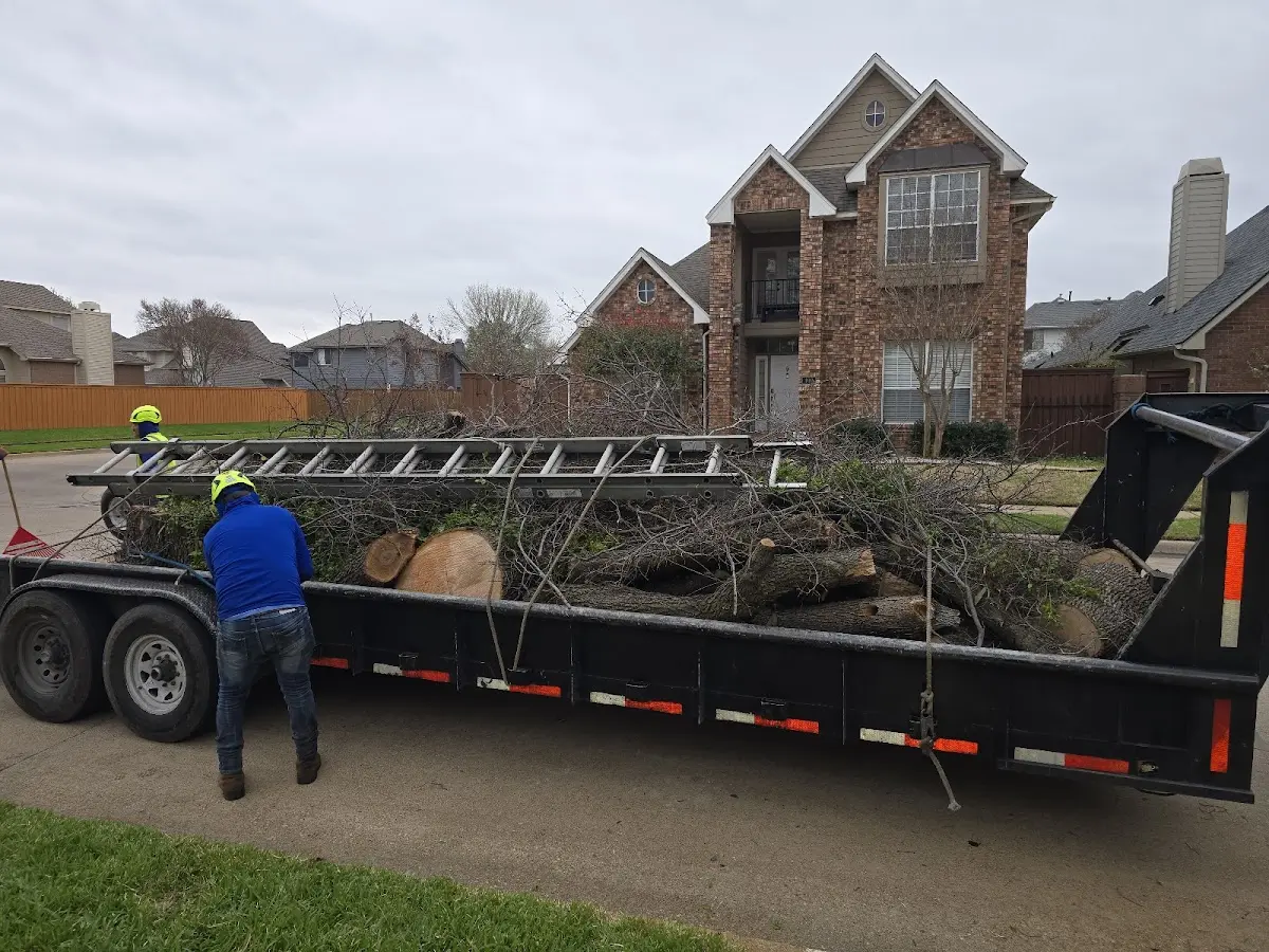 Expert Tree Fertilization with proper safety equipment in Goldston